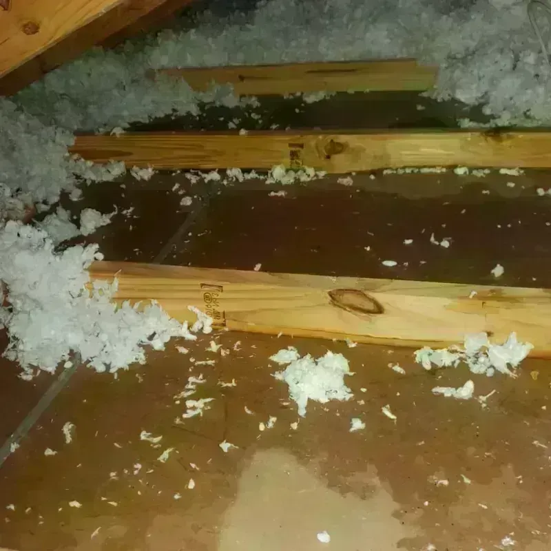 Attic Water Damage in San Juan County, WA