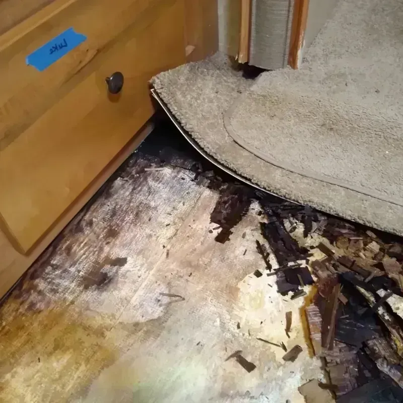 Wood Floor Water Damage in San Juan County, WA